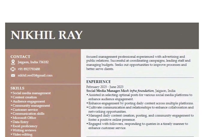 create professional cvs for aviation, airline, pilot, cabin crew,av application